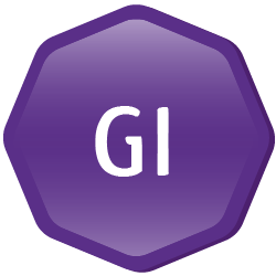 GI-Icon