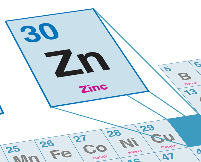 Zinc