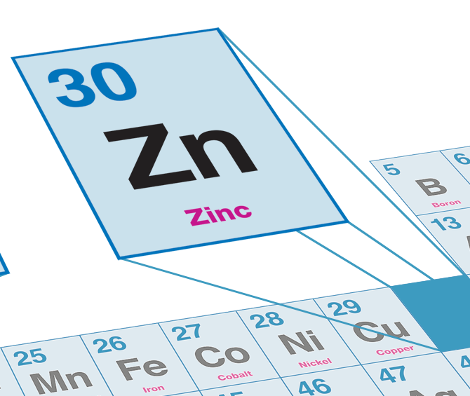 Zinc