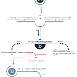 H. pylori Testing and Treatment Algorithm