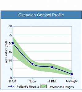 Custom Cortisol Test Kit