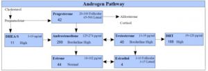 High DHT Hair Loss Hormonal Imbalance Cortisol Stress Testosterone Best Test Panel