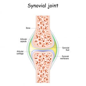 Magnesium for the Treatment of Osteoarthritis (OA) Joint Pain Relief