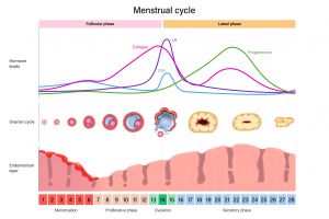 Calcium - A Clinically Effective Natural Remedy for PMS & PMDD