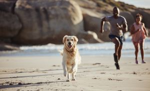 Best Summer Supplements for Active & Fit Men - Free Testosterone Male Hormone Test Panel