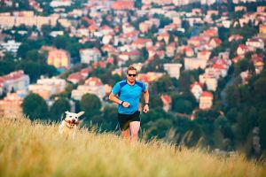 Best Summer Supplements for Active & Fit Men - Free Testosterone Male Hormone Test Panel