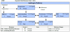 Functional Saliva Hormone Testing for Patients with Chronic Pain Best Progesterone Test Panel Salivary
