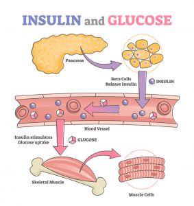 Preventing Treating Insulin Resistance with best Magnesium supplement - test panel