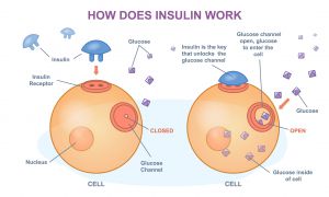 Preventing Treating Insulin Resistance with best Magnesium supplement - test panel