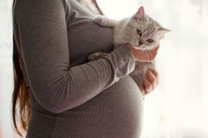Toxoplasmosis - Symptoms, Laboratory Testing, Diagnosis & Treatment