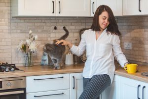 Cat jumping on Kitchen Counter. Toxoplasmosis - Symptoms, Laboratory Testing, Diagnosis & Treatment