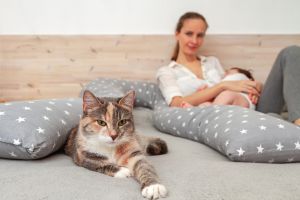 Toxoplasmosis - Symptoms, Laboratory Testing, Diagnosis & Treatment