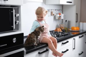 Cat sitting on kitchen countertop with child. Toxoplasmosis - Symptoms, Diagnosis & Treatment