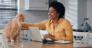 Cat Sitting on Kitchen Counter. Toxoplasmosis - Symptoms, Diagnosis & Treatment