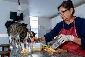 Cat on Kitchen Counter. Toxoplasmosis - Symptoms, Laboratory Testing, Diagnosis & Treatment