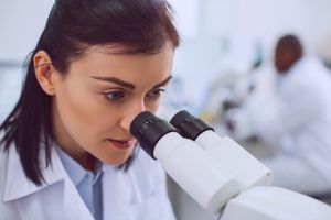 Ascaris lumbricoides (Roundworm) - Overview, Testing & Treatment Ascariasis Best Parasite Test