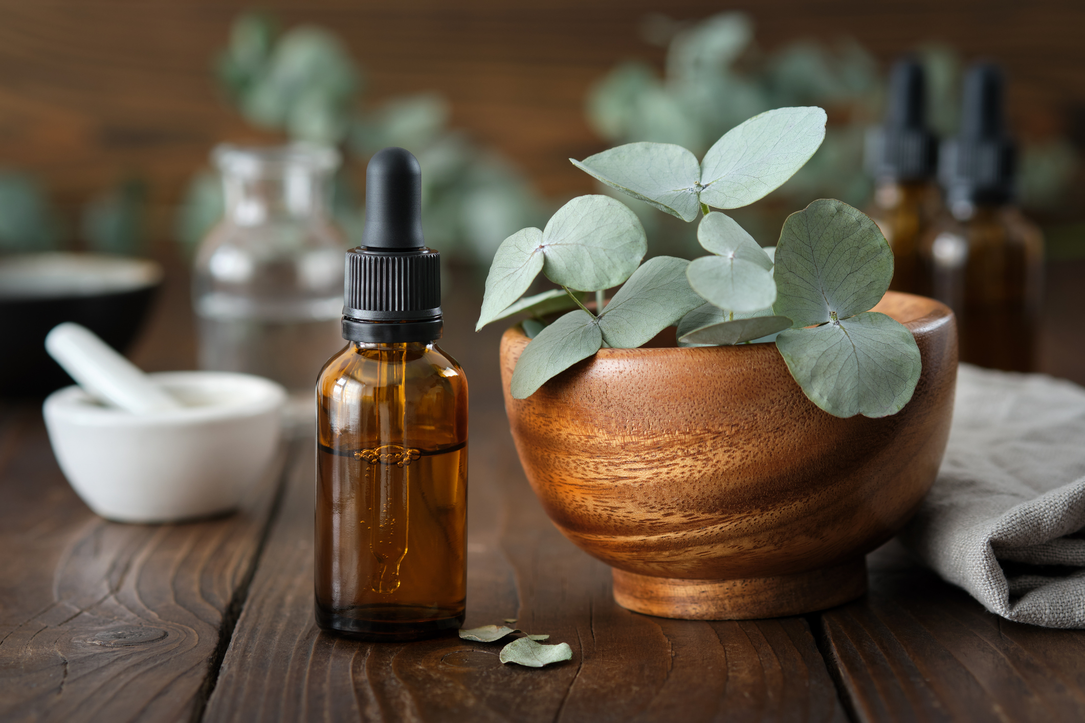 Natural Antifungal Herbs for Candida Overgrowth (Candidiasis) Treatment Eucalyptus