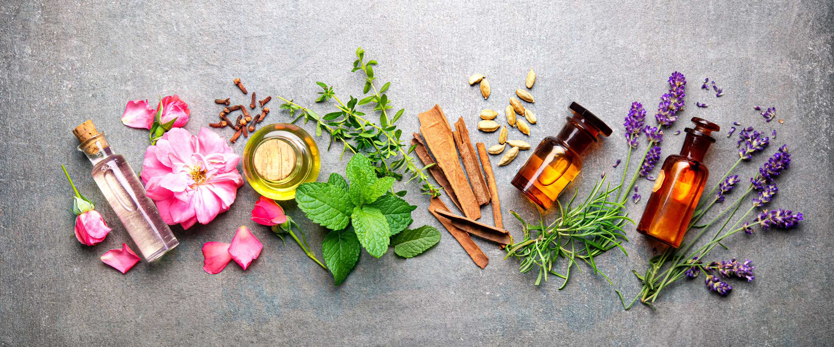 Natural Antifungal Herbs for Candida Overgrowth (Candidiasis) Treatment Oregano Tea Tree Rose Cinnamon Fennel