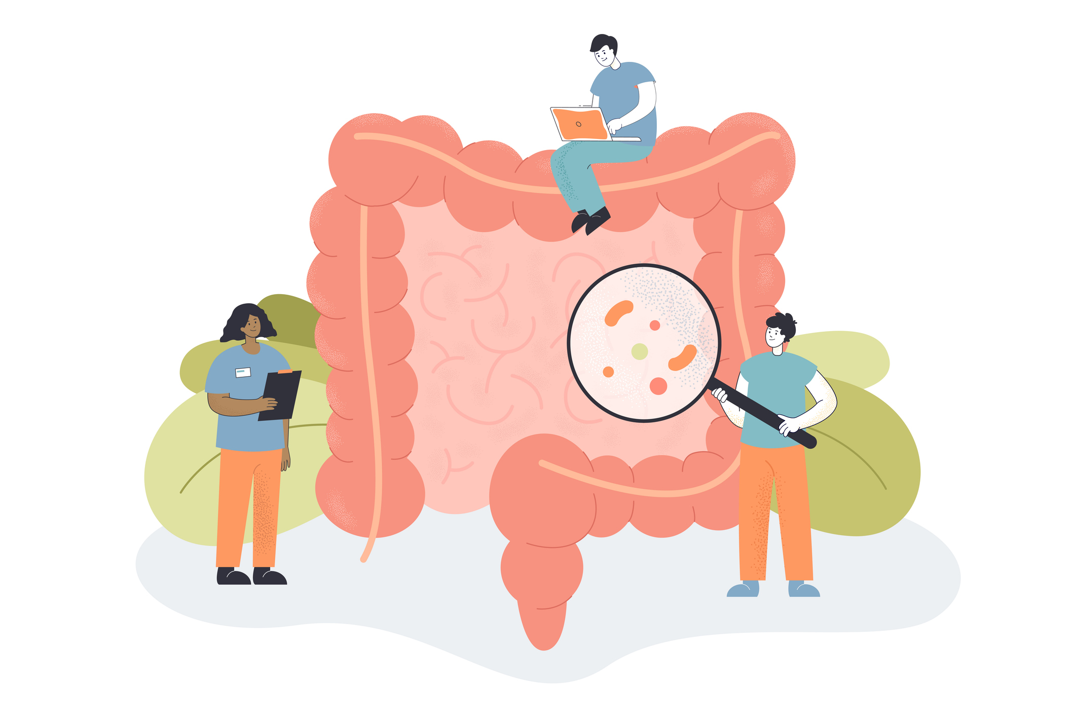 The Gut Microbiome & Estrogen Metabolism - Estrobolome Balance