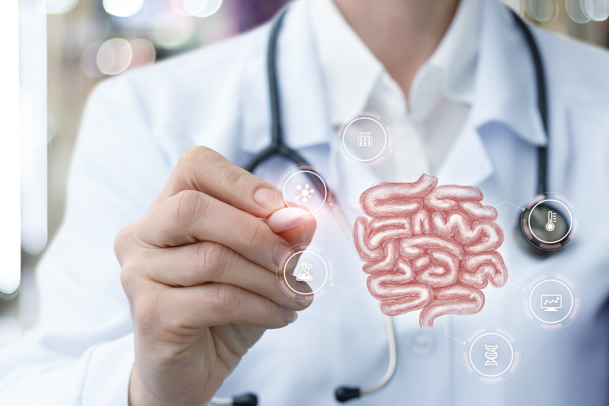 The Gut Microbiome & Estrogen Metabolism - Estrobolome Balance